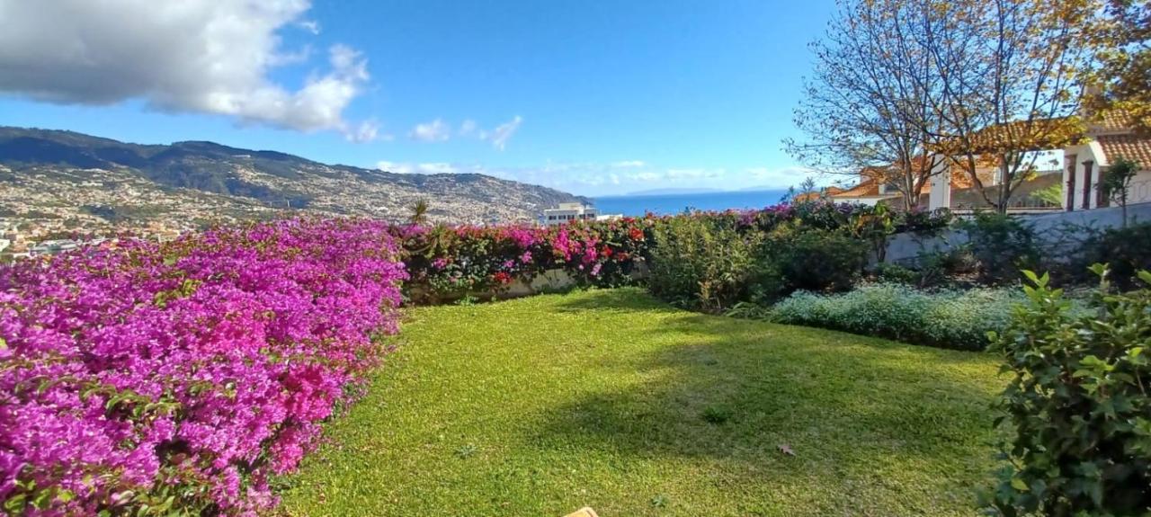 Belvedere Boutique - Adults Only Funchal (Madeira) Exterior foto